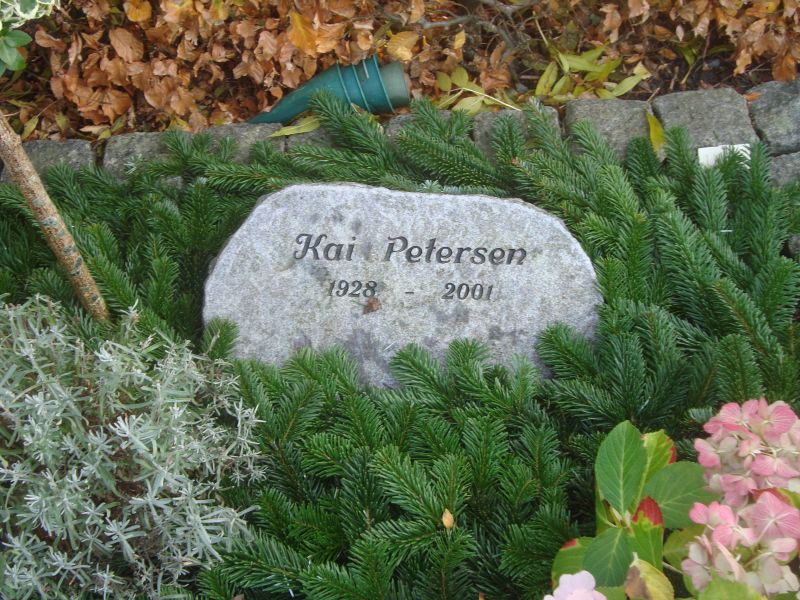 Kai Petersen.JPG
